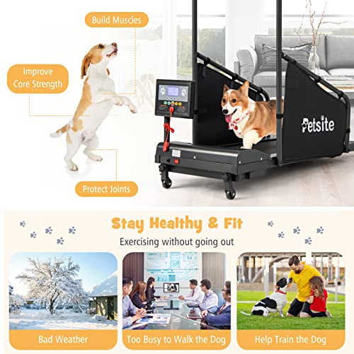 PETSITE Dog Treadmill for Small & Medium Dogs with LCD Display, 220 LBS N612