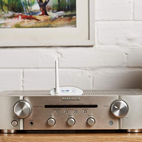 Auris Blume HD Long Range Bluetooth 5.3 Music Receiver with Audiophile DAC F3679
