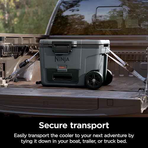 Ninja FrostVault 45QT Cooler with Wheels, Lakeshore Blue M1144