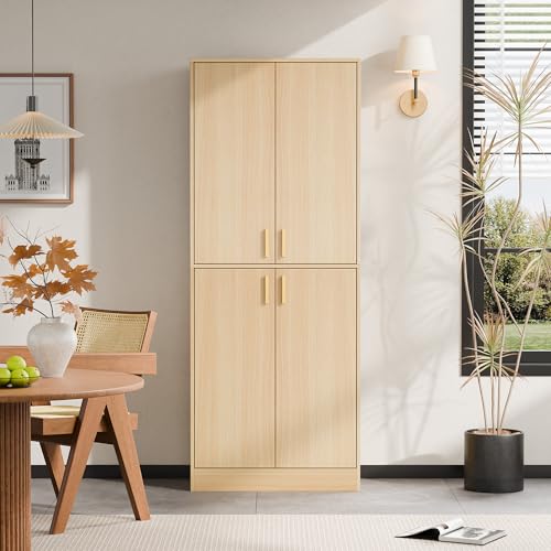Cozy Castle 71" Tall Kitchen Pantry Cabinet with Doors and Shelves, Gray R70739