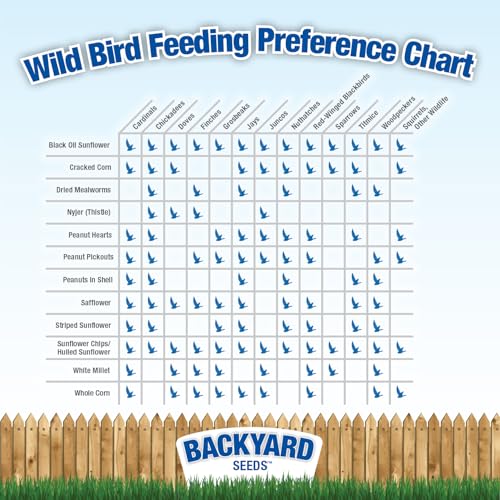 CountryMax Backyard Seeds Shelled Whole Peanuts for Birds & Wildlife, 10 lbs Bag H28185