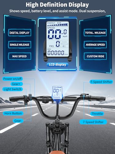 Electric Bike for Adults 48V 500W 20" Fat Tire Full Suspension E-Bike C254